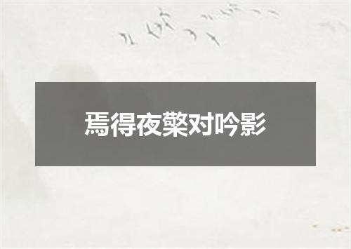 焉得夜檠对吟影