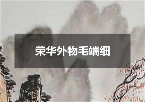 荣华外物毛端细