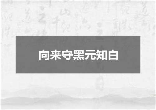 向来守黑元知白
