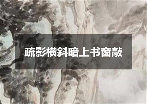 疏影横斜暗上书窗敲