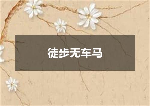 徒步无车马