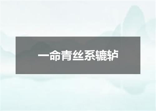 一命青丝系辘轳