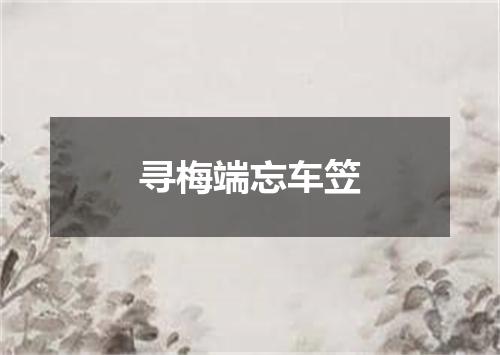 寻梅端忘车笠