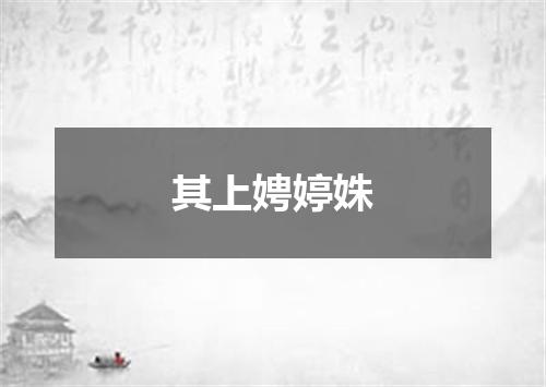 其上娉婷姝