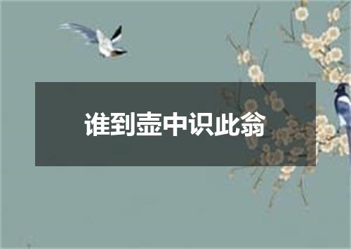 谁到壶中识此翁