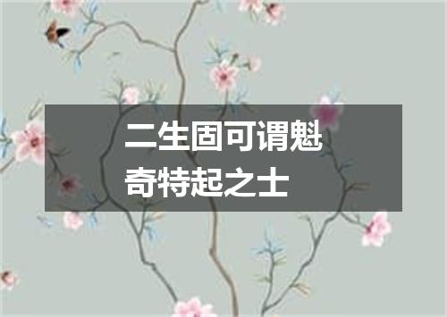 二生固可谓魁奇特起之士