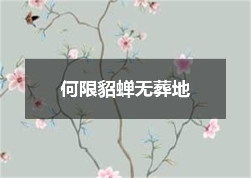何限貂蝉无葬地
