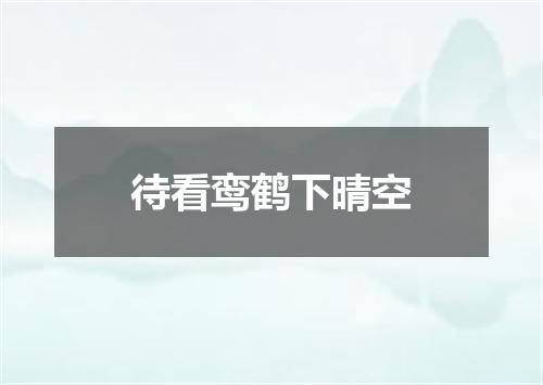 待看鸾鹤下晴空