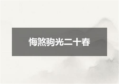 悔煞驹光二十春