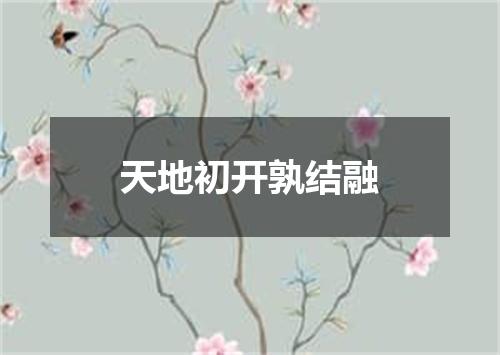 天地初开孰结融