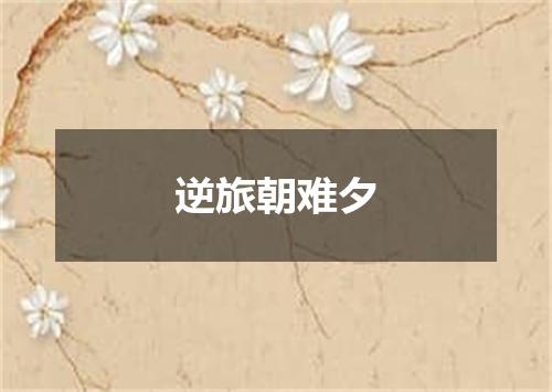 逆旅朝难夕