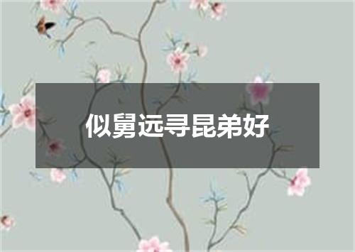 似舅远寻昆弟好