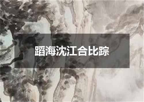 蹈海沈江合比踪