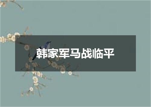 韩家军马战临平
