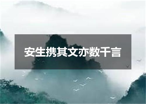 安生携其文亦数千言