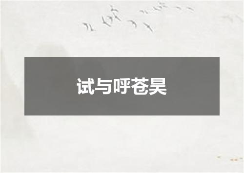 试与呼苍昊