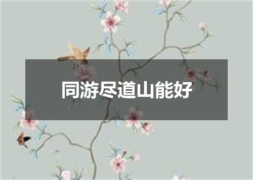 同游尽道山能好