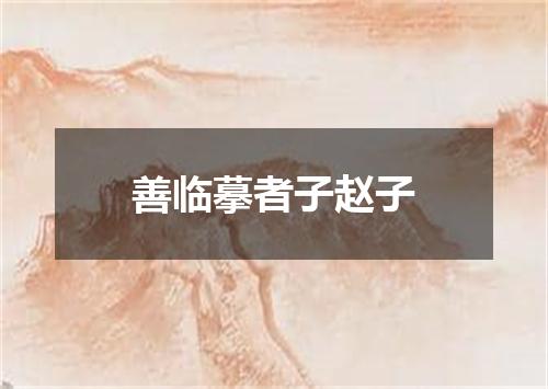 善临摹者子赵子