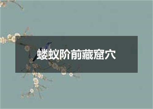 蝼蚁阶前藏窟穴