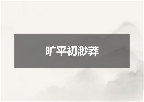 旷平初渺莽