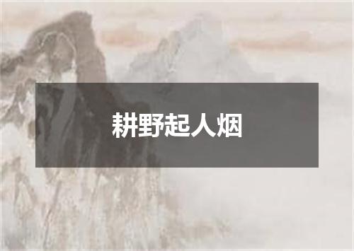 耕野起人烟