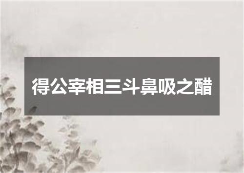 得公宰相三斗鼻吸之醋