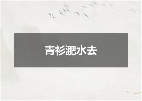 青衫淝水去