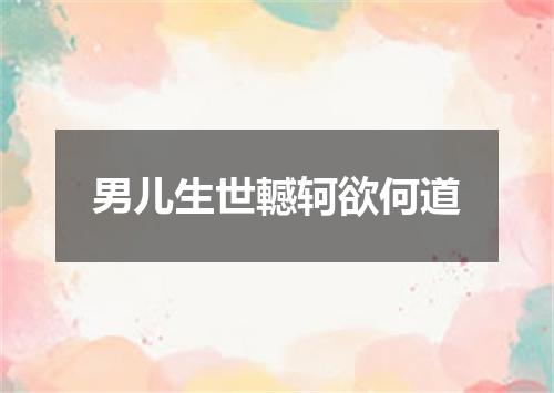 男儿生世轗轲欲何道