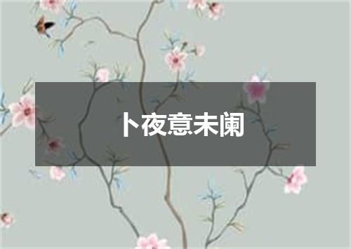 卜夜意未阑