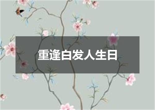 重逢白发人生日