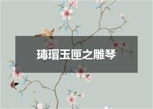 瑇瑁玉匣之雕琴