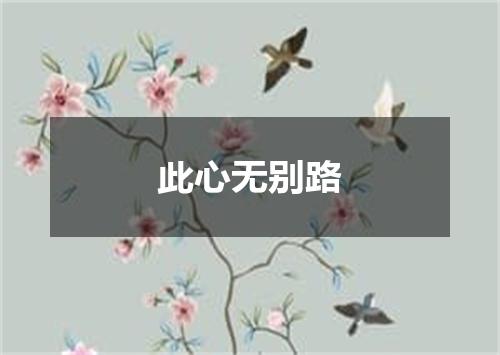 此心无别路