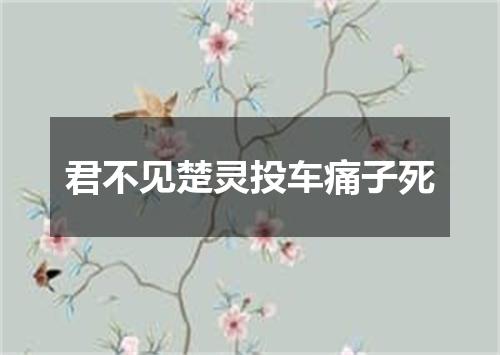 君不见楚灵投车痛子死