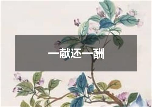 一献还一酬