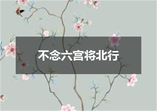 不念六宫将北行