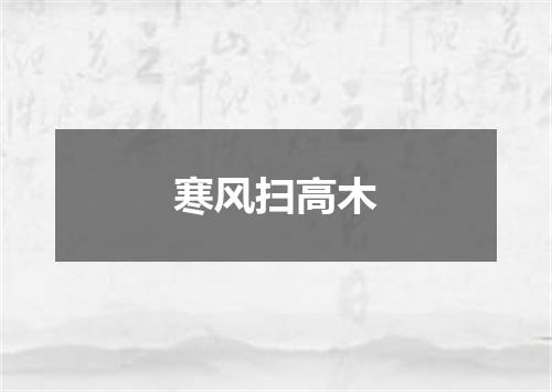 寒风扫高木