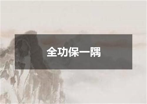 全功保一隅