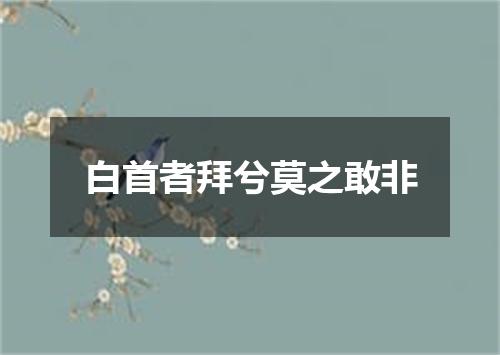 白首者拜兮莫之敢非