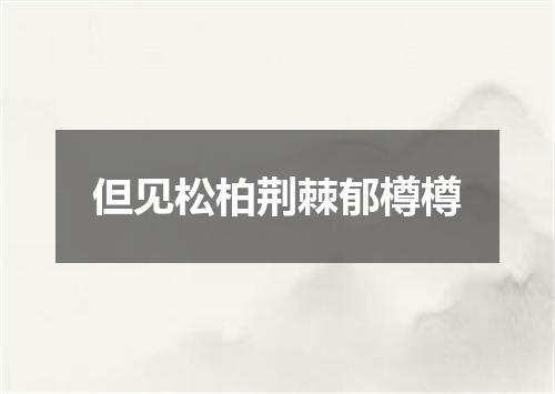 但见松柏荆棘郁樽樽