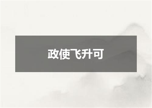 政使飞升可