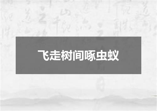飞走树间啄虫蚁