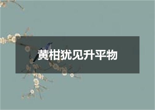 黄柑犹见升平物