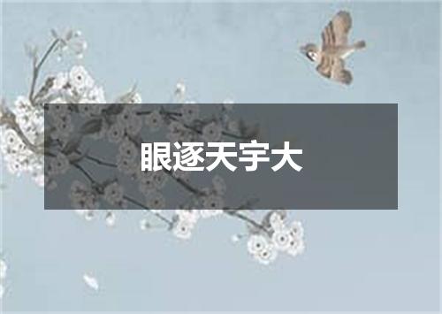 眼逐天宇大