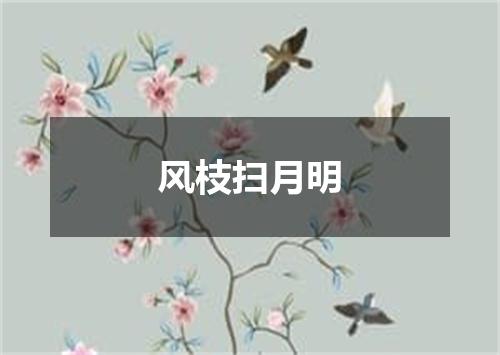 风枝扫月明