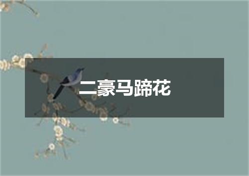 二豪马蹄花