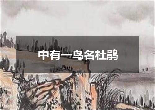 中有一鸟名杜鹃