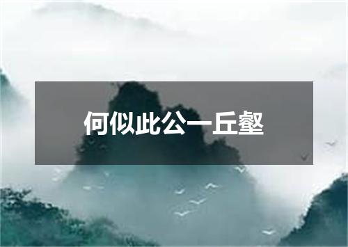 何似此公一丘壑