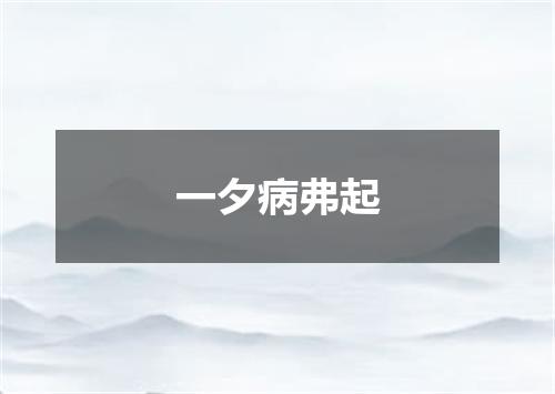一夕病弗起