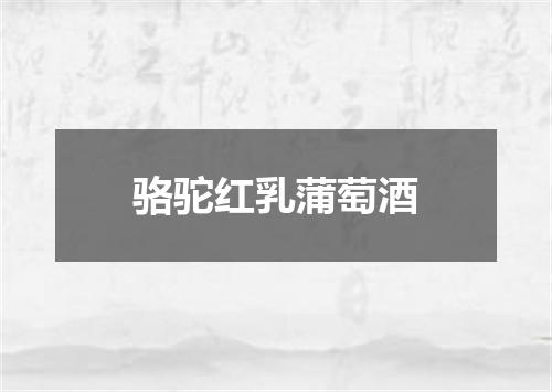 骆驼红乳蒲萄酒