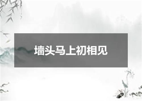墙头马上初相见